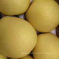 Good Quality of Fresh Crown Pear